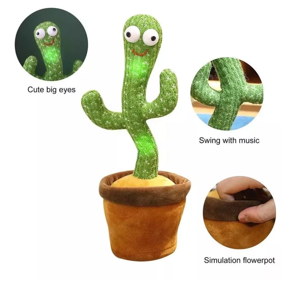Dancing Cactus - All-In-One Store
