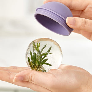 Ice Ball Hockey Mold - All-In-One Store