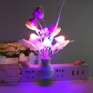 Led Night Light - All-In-One Store
