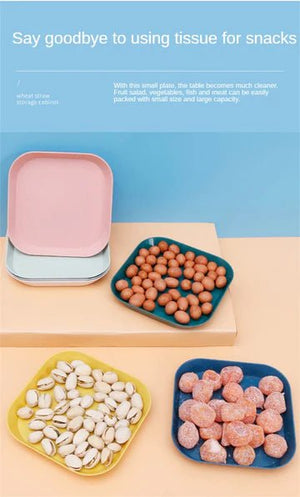 Serving Snack Plate Set with plastic holder - All-In-One Store