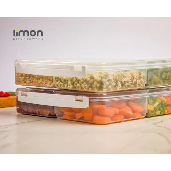 4 Section Freezer Box with Lid (11435) by Limon