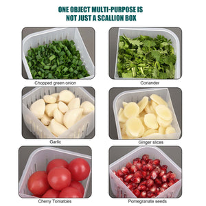 4 in 1 Vegetable & Fruit Storage Box With Lid - All-In-One Store