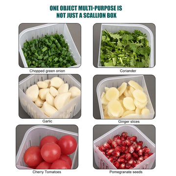 4 in 1 Vegetable & Fruit Storage Box With Lid - All-In-One Store