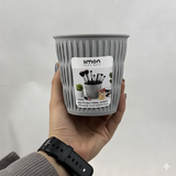 Multi-Use Oval Bin by Limon