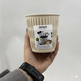 Multi-Use Oval Bin by Limon