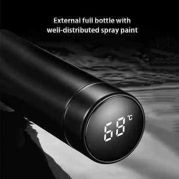 Temperature Display Water Bottle