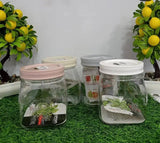 Square Door Pocket Containers by Limon