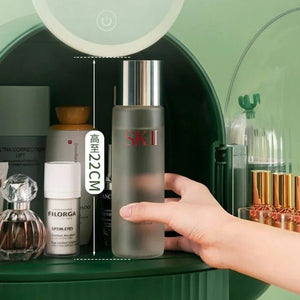 Cactus Cosmetic Organizer With LED Light With Mirror - All-In-One Store