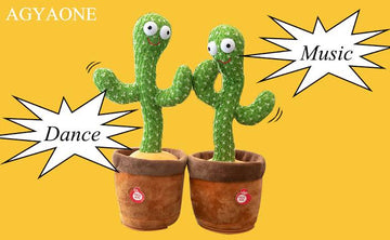 Dancing Cactus - All-In-One Store