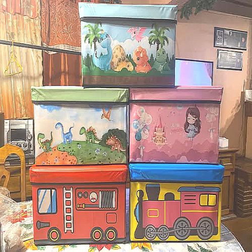 Cartoon-Themed Seaters cum Storage Organizers