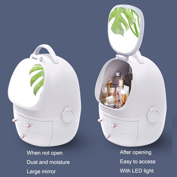 Portable Cosmetic Organizer With led light Mirror - All-In-One Store