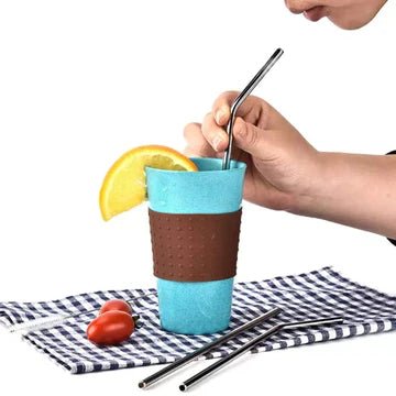 Reusable Steel straw ( set of 4 ) - All-In-One Store