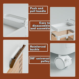 Rolling storage cart with wheel - All-In-One Store